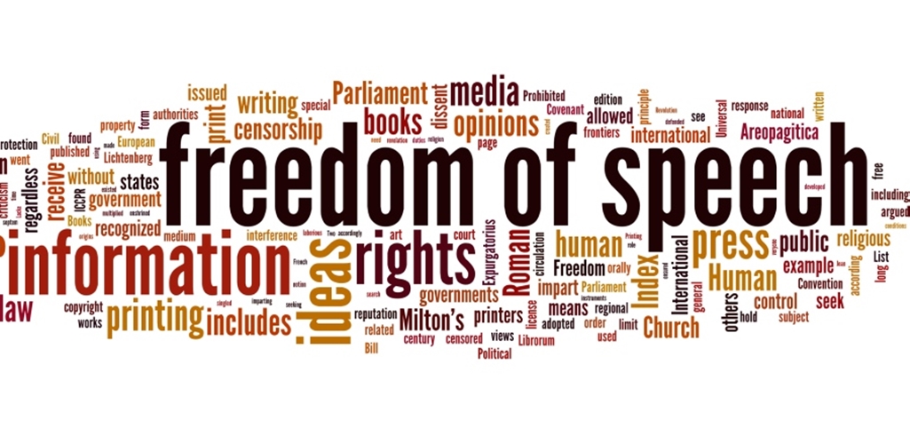 freedom of speech on the internet articles